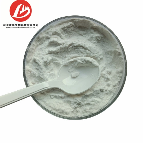 Hot Sale 2, 6-Di-O-Methyl-Beta-Cyclodextrin Powder CAS 51166-71-3