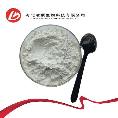 2, 6-Di-O-Methyl-Beta-Cyclodextrin Powder CAS 51166-71-3